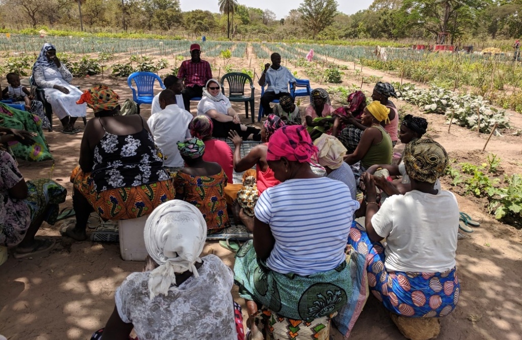 Femmes en communauté, Sénégal